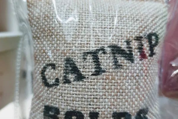 Bs (Pet Patili) Petshop - Resim 15