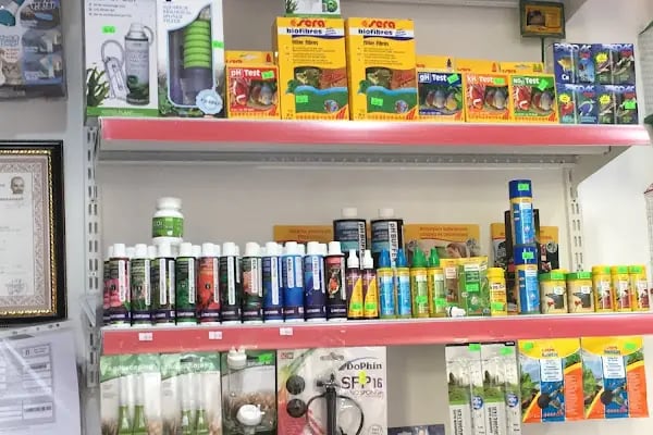 Bs (Pet Patili) Petshop - Resim 8