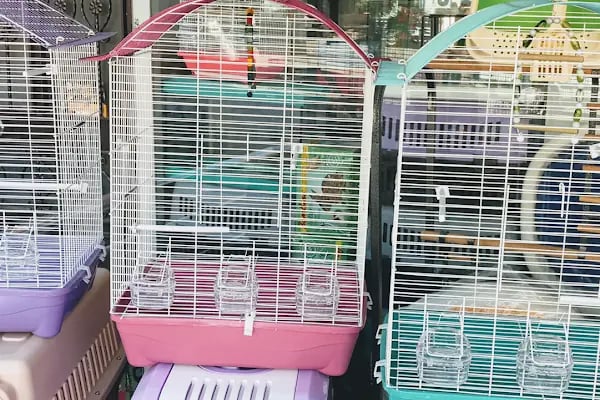 Bs (Pet Patili) Petshop - Resim 7
