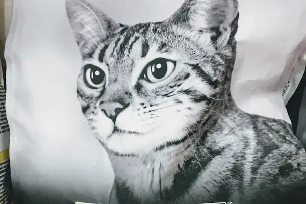 Bs (Pet Patili) Petshop - Resim 4