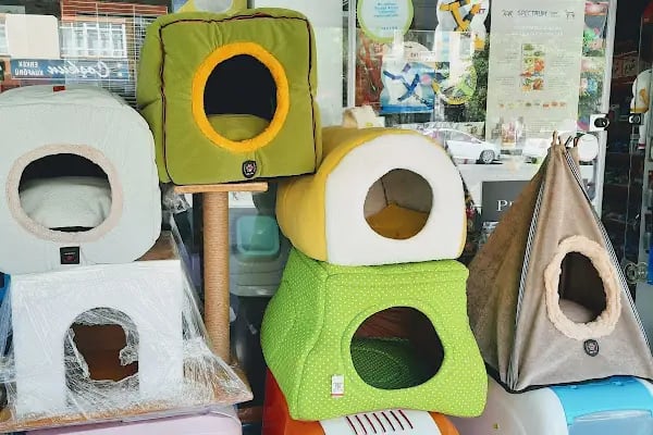 Bs (Pet Patili) Petshop - Resim 3