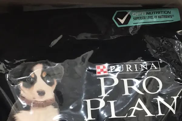 Bs (Pet Patili) Petshop - Resim 18