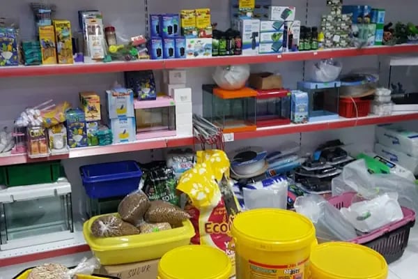 Bs (Pet Patili) Petshop - Resim 2