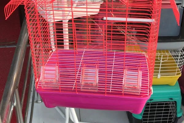 Bs (Pet Patili) Petshop - Resim 11