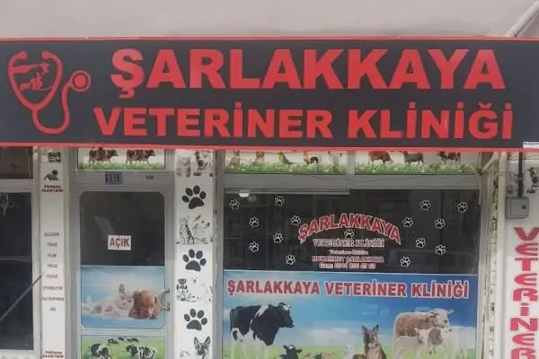 Akşehir Şarlakkaya veteriner kliniği - Resim 1