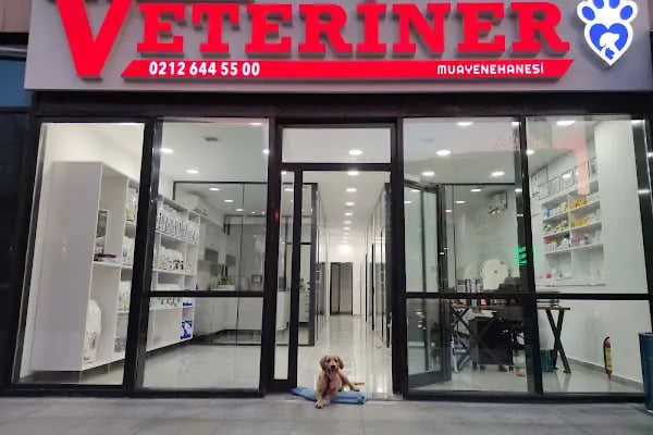 Paticana Veteriner Kliniği - Resim 17