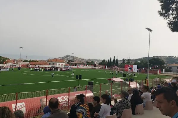 Hüsnü Uğural Stadı - Resim 10