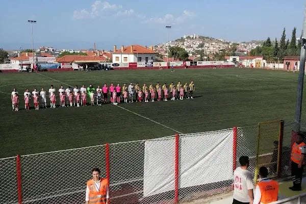 Hüsnü Uğural Stadı - Resim 12