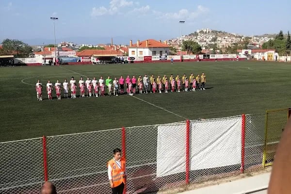 Hüsnü Uğural Stadı - Resim 14