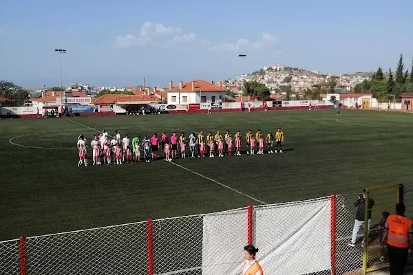 Hüsnü Uğural Stadı - Resim 18