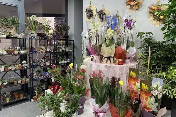 Amore Flowers - Resim 11