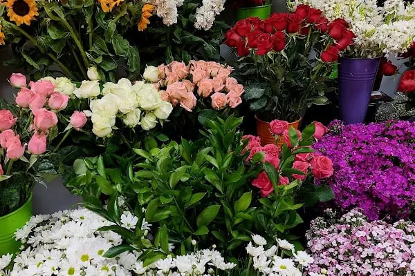 Amore Flowers - Resim 4