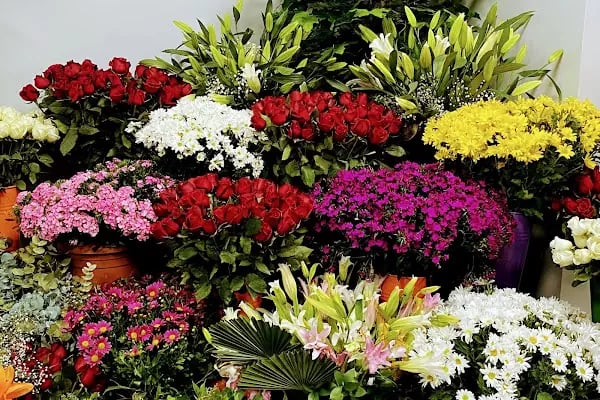 Amore Flowers - Resim 1
