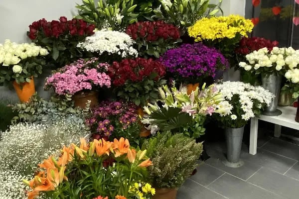 Amore Flowers - Resim 9
