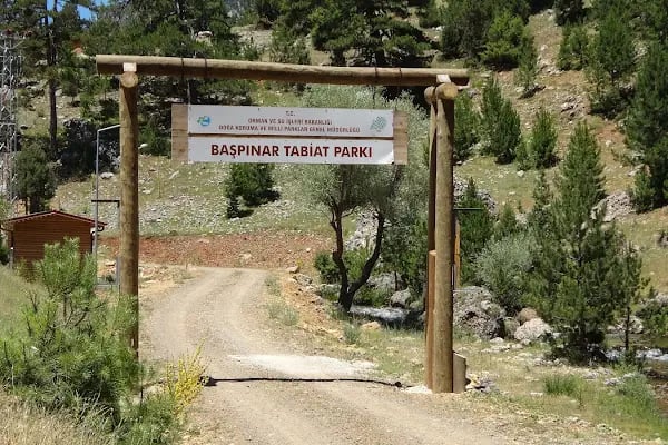 Başpınar Tabiat Parkı Kamp ve Piknik Alanı - Resim 14