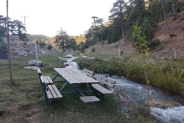 Başpınar Tabiat Parkı Kamp ve Piknik Alanı - Resim 15