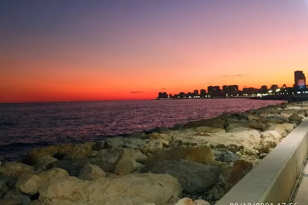 Mersin Büyükşehir Belediyesi Kültür Parkı - Resim 3