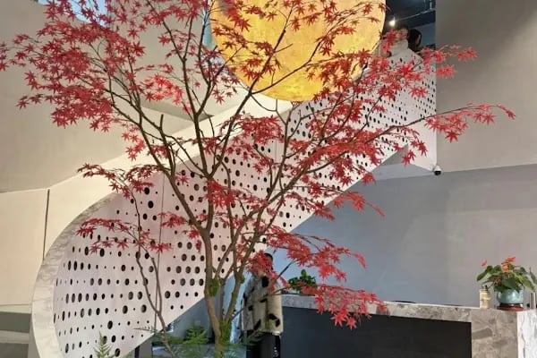 Koçaklar Çiçekçilik ve Dekor 3. Ada - Resim 17