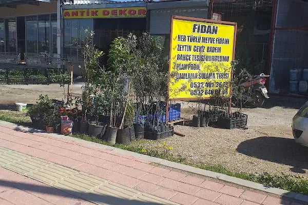Isparta halı & koltuk yıkama - Resim 7