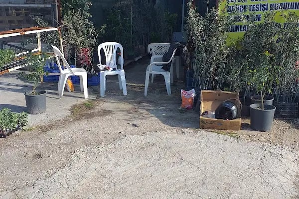 Isparta halı & koltuk yıkama - Resim 2