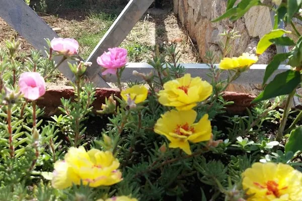 23 Nisan Çocuk Parkı - Resim 4