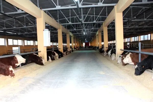 Diyarbakır Tarıma Dayalı Organize Sanayi Bölgesi - Resim 2