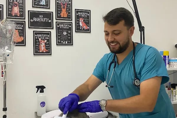 Egem Veteriner Kliniği - Resim 10