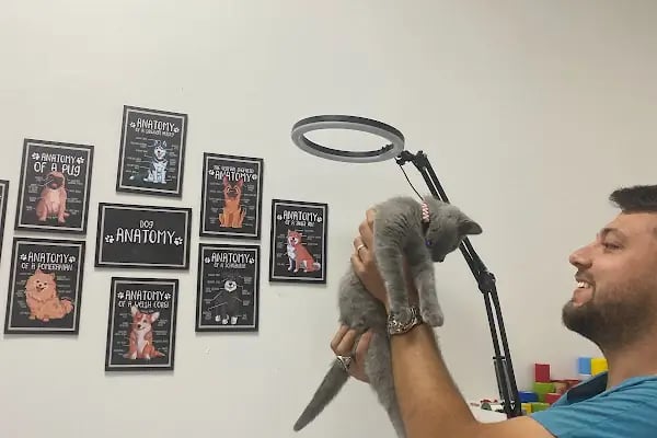 Egem Veteriner Kliniği - Resim 19