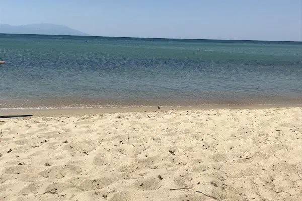 Amedeus Beach Club - Resim 4