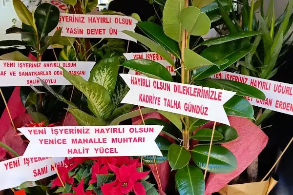 Akyıldız çicekçilik - Resim 9