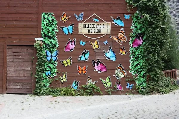 İnözü Kelebek Vadisi Tesisleri Beypazarı - Resim 2
