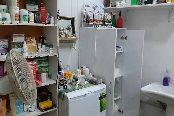 ANAMUR VETERİNERLİK - Resim 14