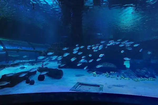 Aqua Fantasy Aquapark - Resim 15