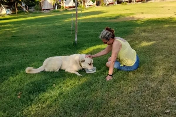 Bodrum Masali Camping - Resim 19