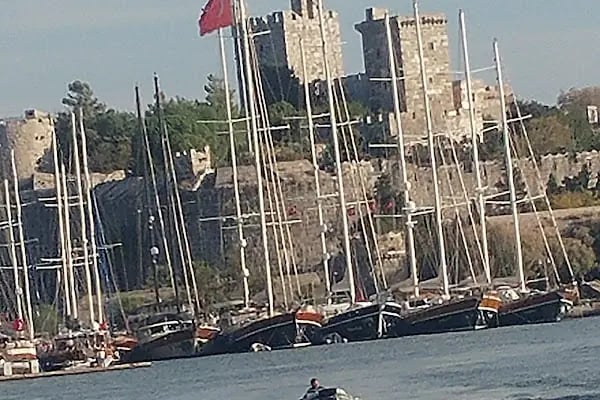 Deniz Kabuğu Meyhane - Resim 9