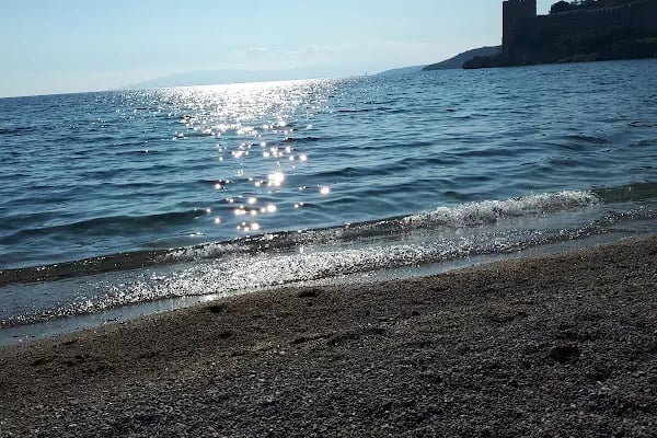 Deniz Kabuğu Meyhane - Resim 19