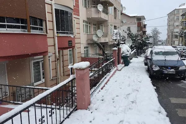 Sarı Oto Yıkama - Resim 3