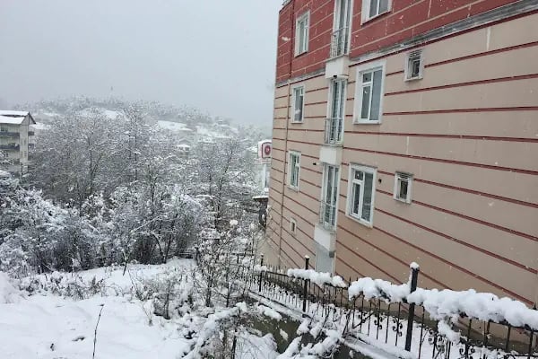 Sarı Oto Yıkama - Resim 5