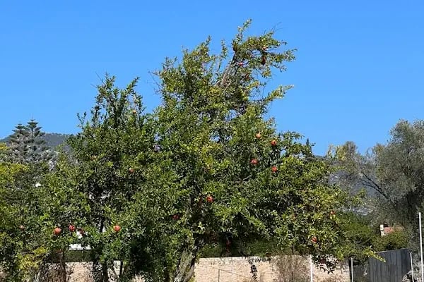 3H Group Karavan Park - Resim 8