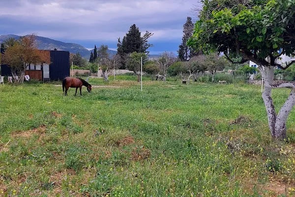 3H Group Karavan Park - Resim 3