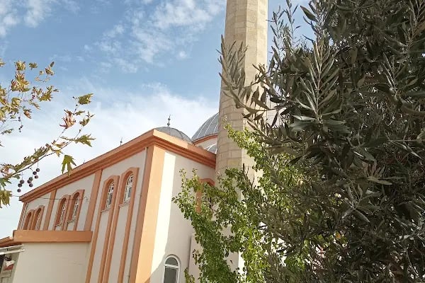 Arıklarlıoğlu Cami - Resim 11