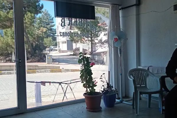 Çamlık Berberi - Resim 3