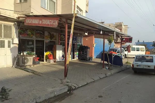 Şükür manav - Resim 2