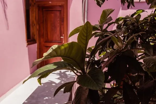 LİLY TOWN BOUTİQUE OLDHOUSE HOTEL - Resim 18