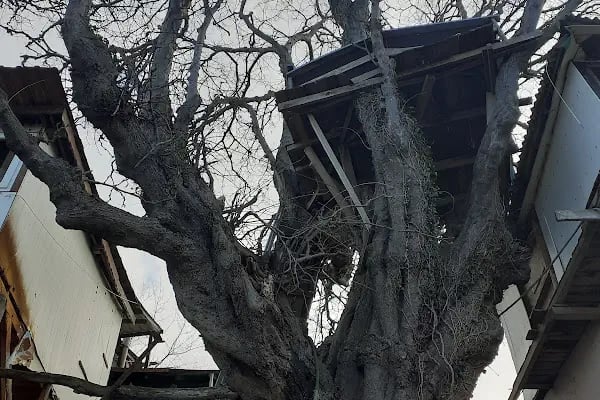 Zuğa Restaurant - Resim 20