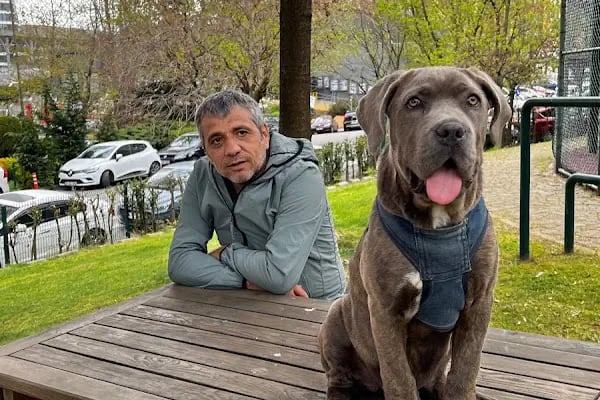 İnci Sitesi - Resim 2
