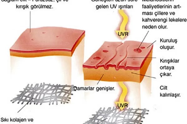Dr. Gonca Aydemir Muayenehanesi - Resim 9