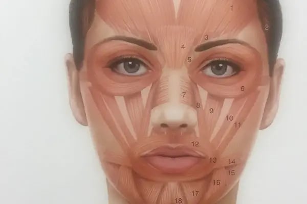 Dr. Gonca Aydemir Muayenehanesi - Resim 6