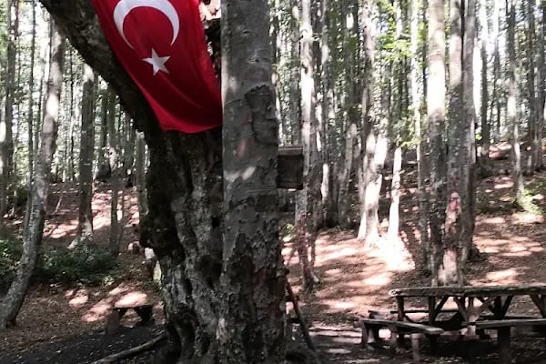 Şifalı Su - Resim 18