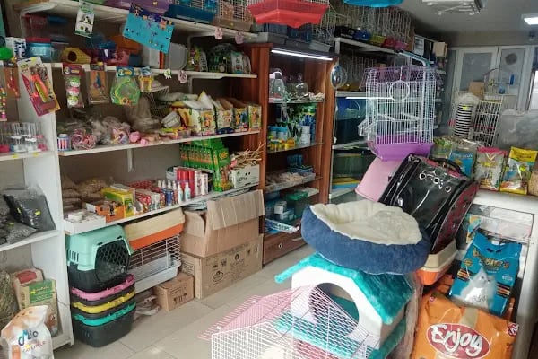 Rastgele petshop - Resim 18